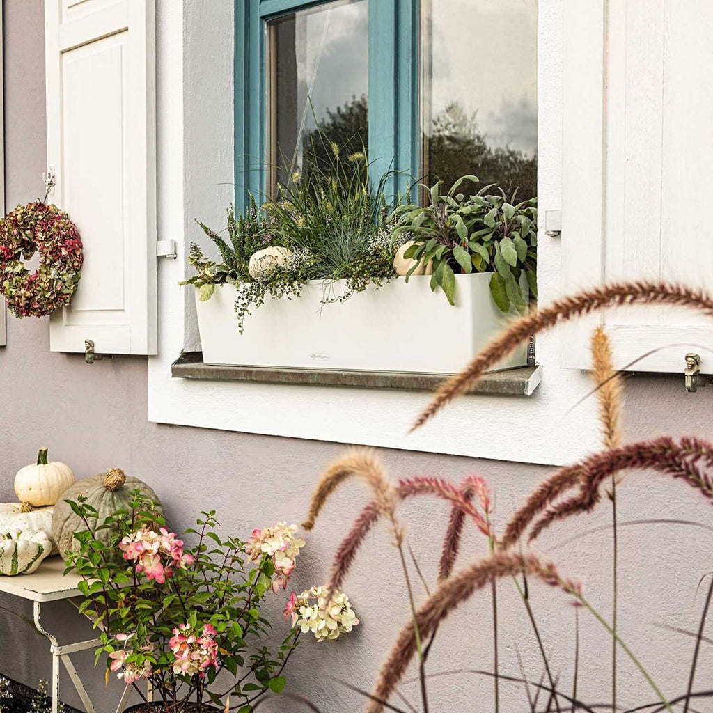 Detalj av Balkongkasse Balconera Color 80 med substrat hvit