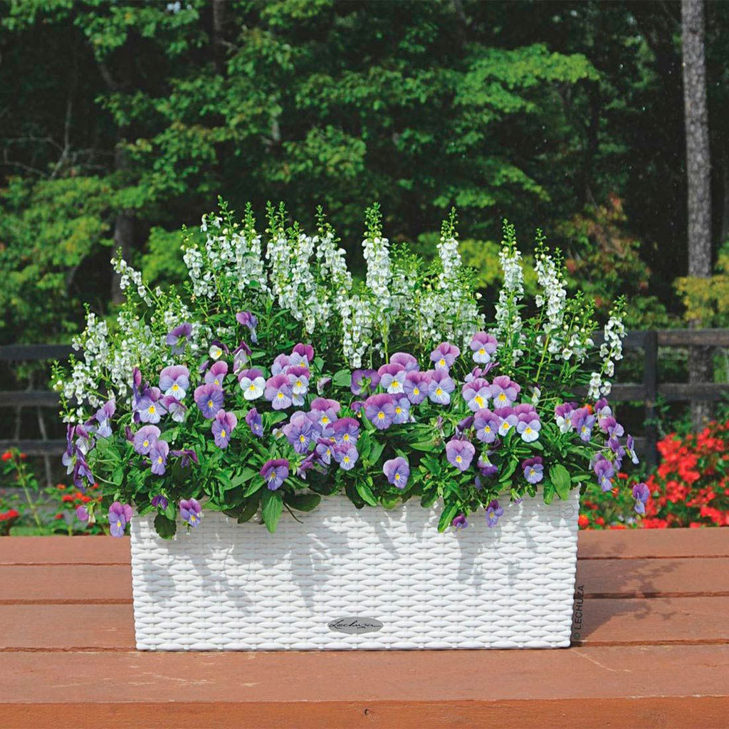 Montert Blomsterkrukke Balconera 50 hvit plast 50 cm med planter