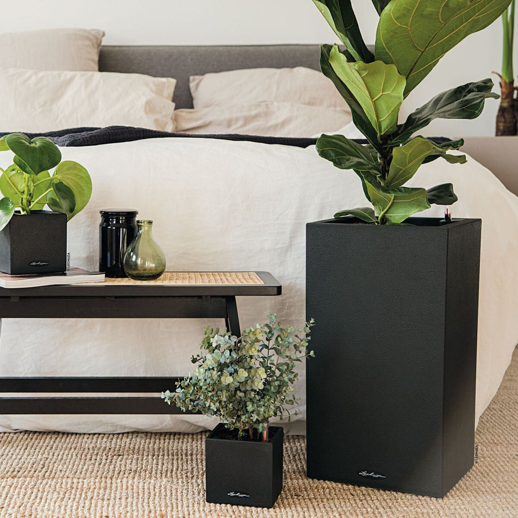 Oversikt av Blomsterkrukke Canto 30x30x56 cm plast grafittsvart med plante
