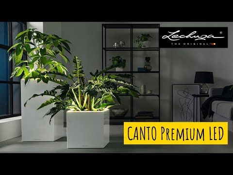 Blomsterkrukke Canto Stone 30 LED plast forside