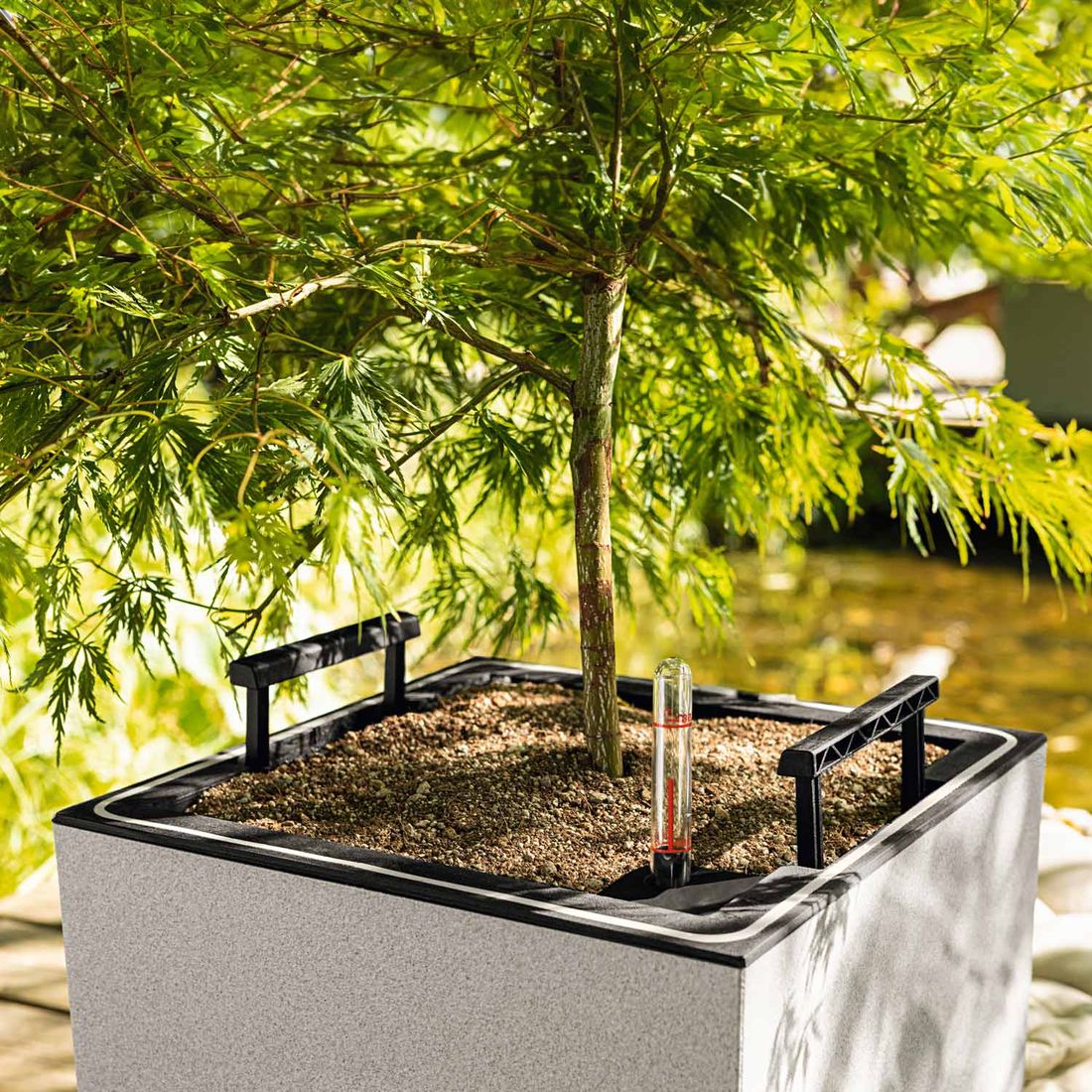 Montert blomsterkrukke Canto Stone 30 LED plast med planter