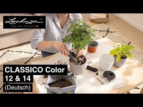 Blomsterkrukke Classico Color 28 med substrat skifergrå forfra