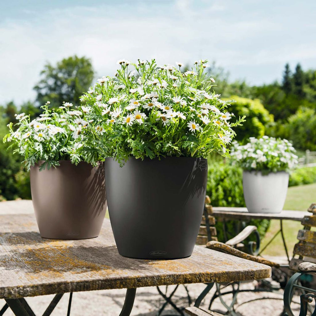 Detalj av Blomsterkrukke Classico Color 28 med substrat skifergrå