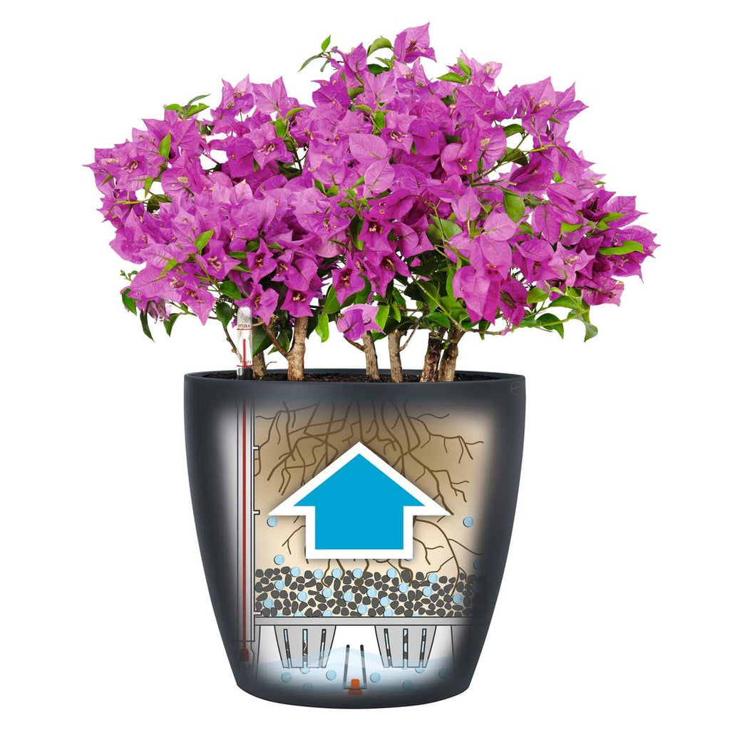 Oversikt over Blomsterkrukke Classico Color 28 med substrat skifergrå