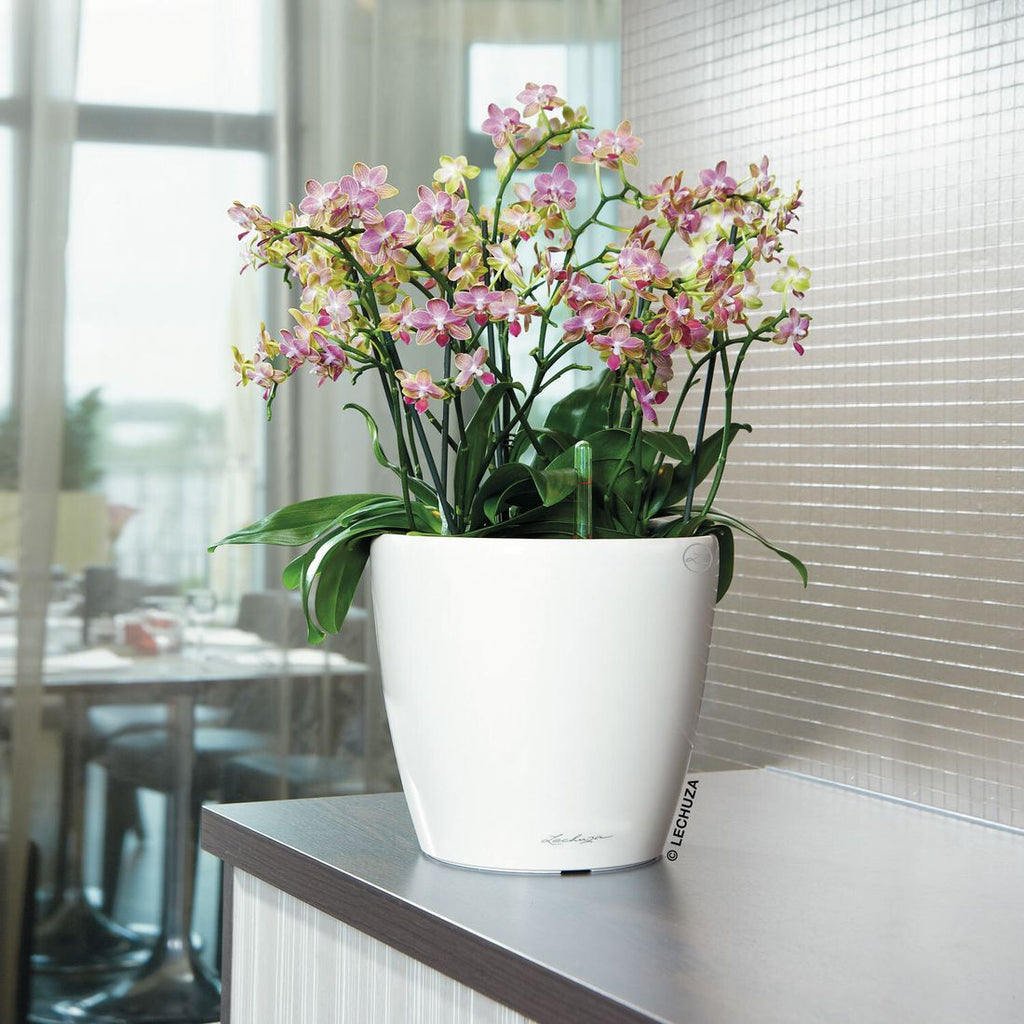 Detalj av blomsterkrukke Classico Premium LS Ø28,5 cm plast hvit