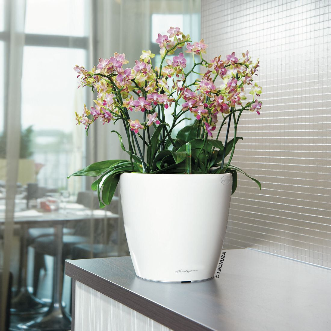 Detalj av blomsterkrukke Classico Premium LS Ø28,5 cm plast hvit