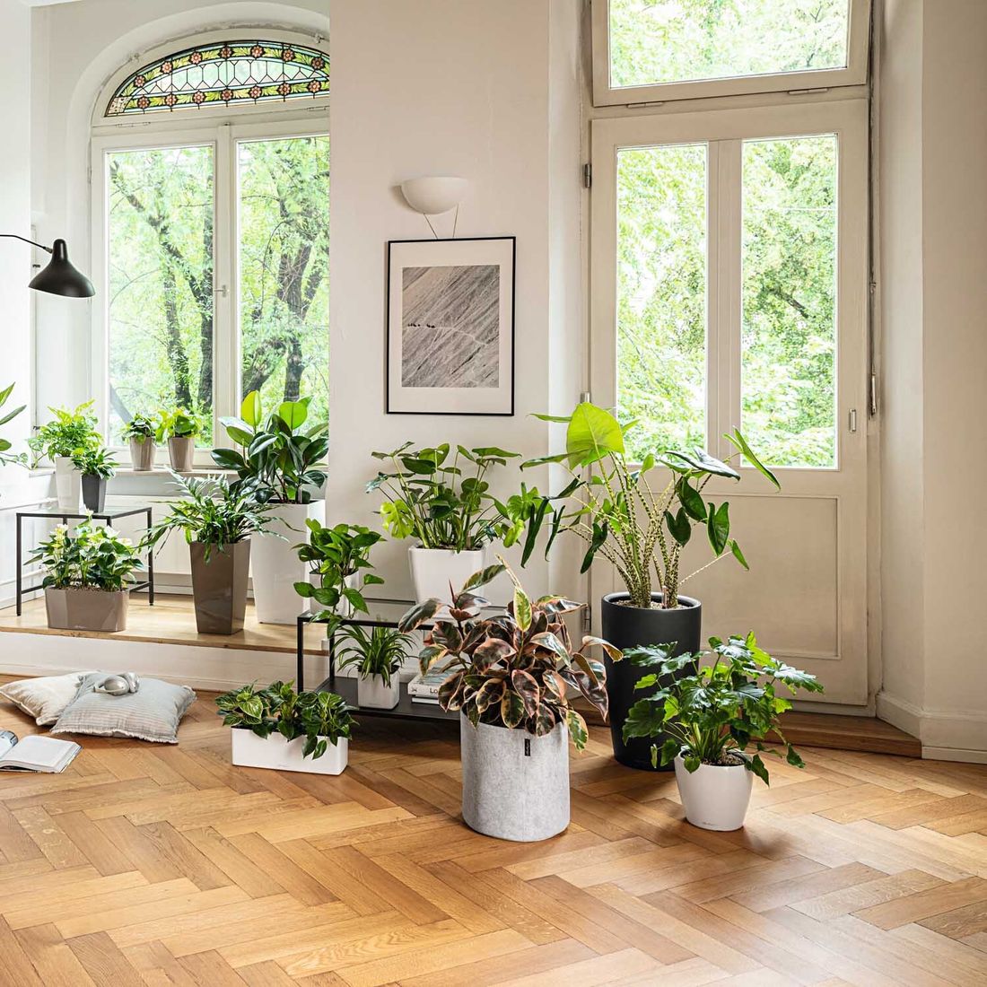 Oversikt over Blomsterkrukke Classico Premium LS 28 med substrat