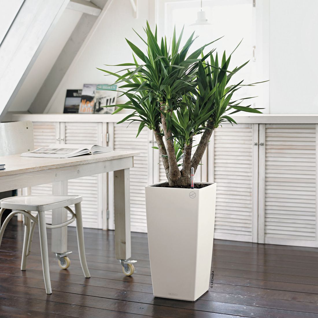 Blomsterkrukke Cubico 30x30x56 cm plast hvit top view