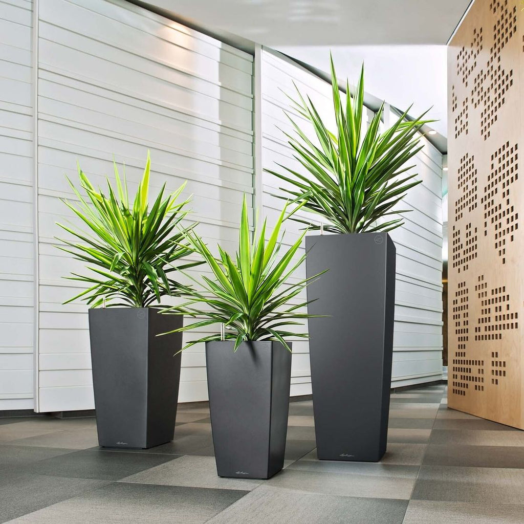 Detalj av vanningssystem i Blomsterkrukke Cubico Premium 40