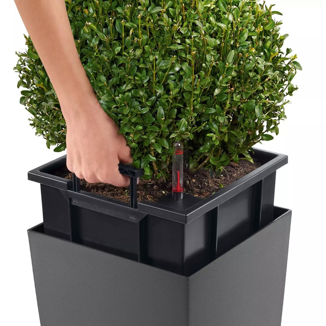 Sidebilde av Blomsterkrukke Cubico Premium 40