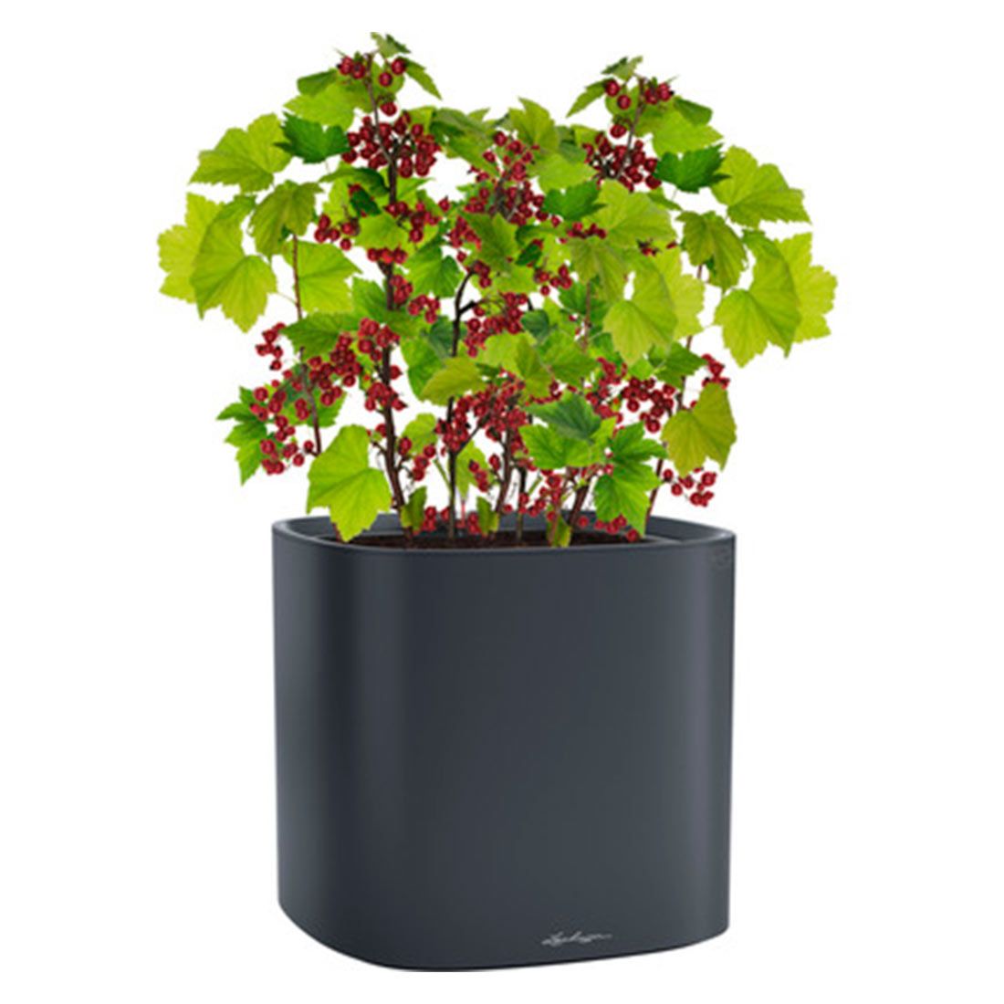 Detalj av Blomsterkrukke Pila Planter 35x35 cm skifergrå plast
