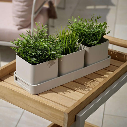 Blomsterkrukke-sett med brett aluminium 50x17 cm - Stern bakside