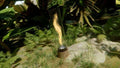 Bordild ute SPIN Air 1200 eik Ø13,8x54cm front