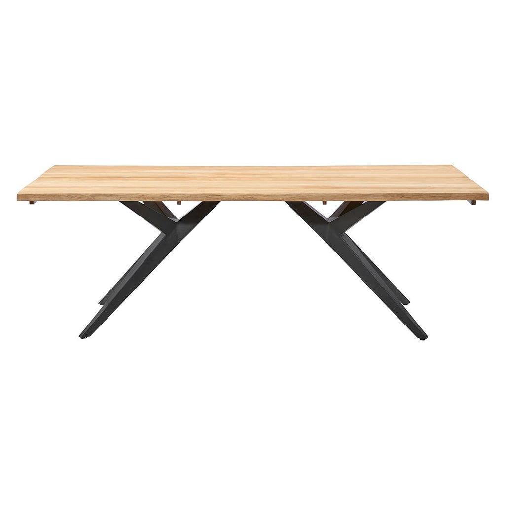 Hagebord Holland 240x95 cm rustfritt stål/teak bakside