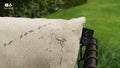 Loungestol Condor aluminium/utestoff 80x85 cm front