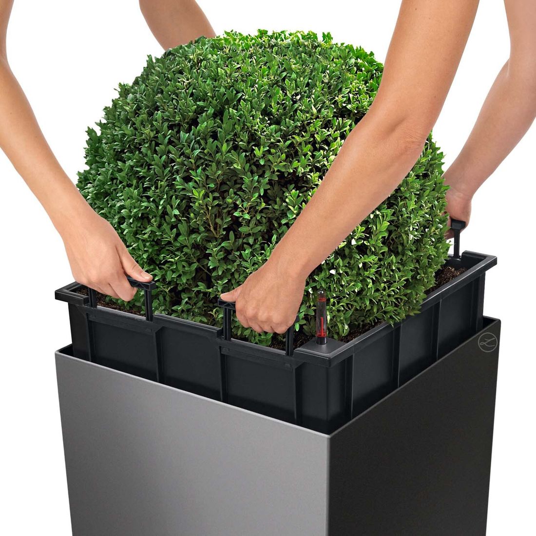 Plantekasse Cube Premium 50 sett fra siden