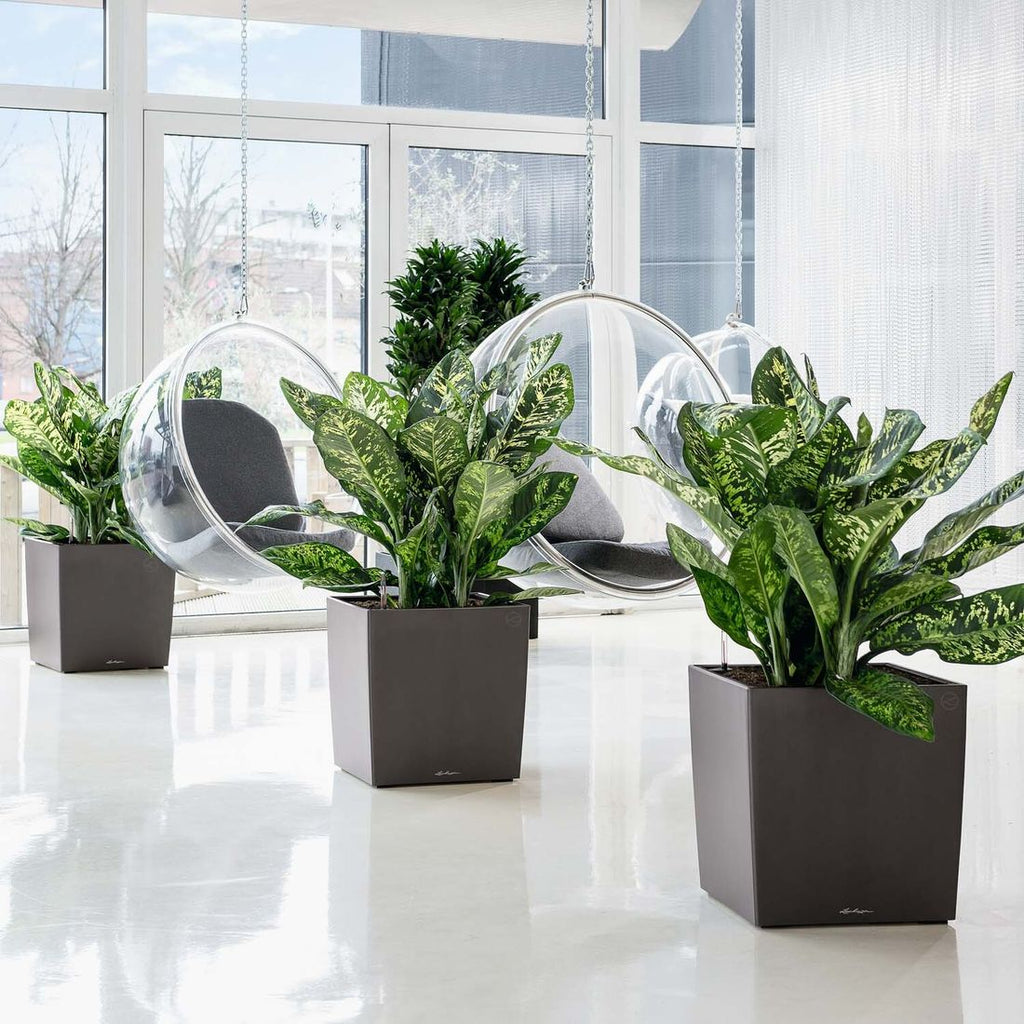 Plantekasse Cube Premium 50 detalj av vanningssystem