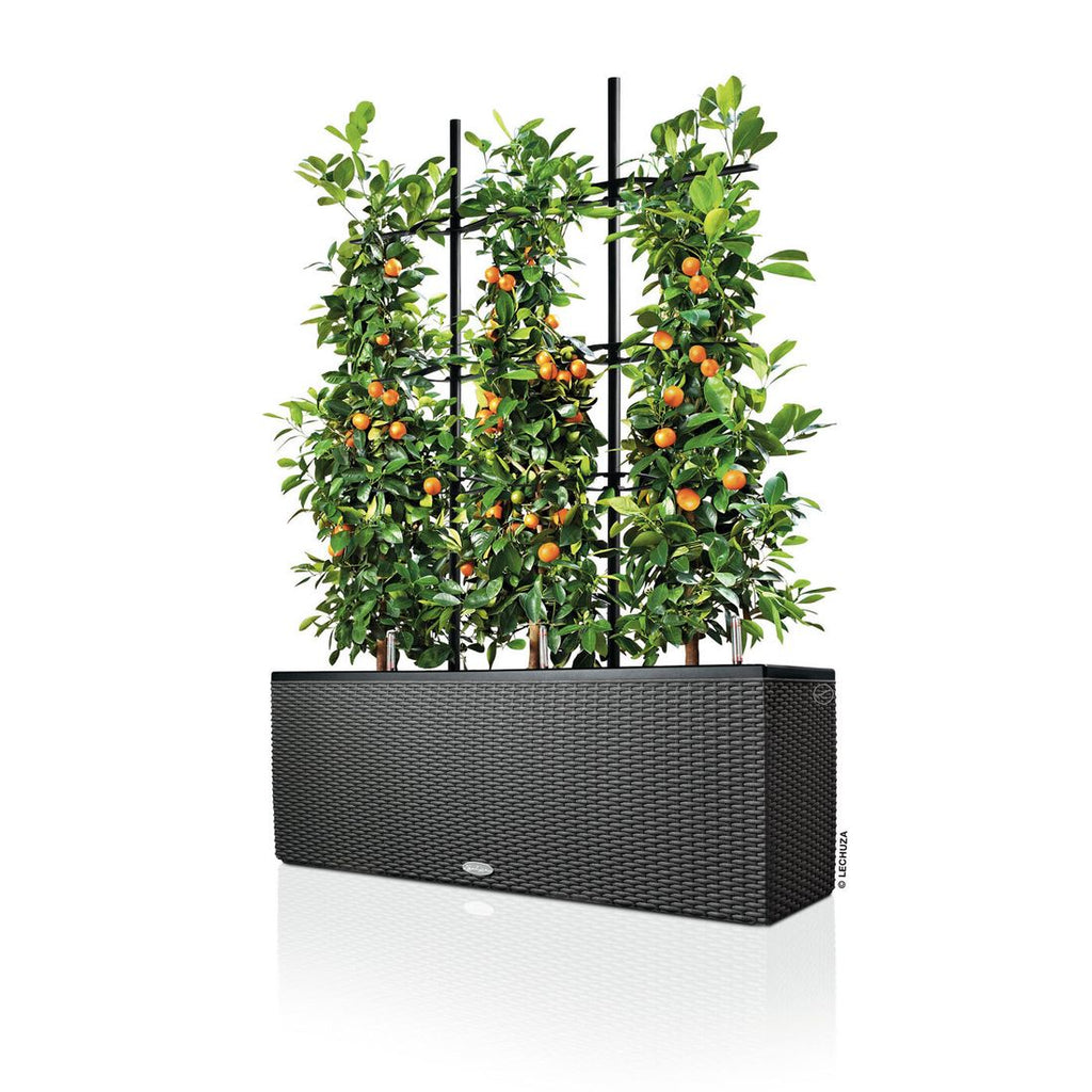 Stilfull Plantekasse Trio 100x32x34 cm polyrotting granitt med planter