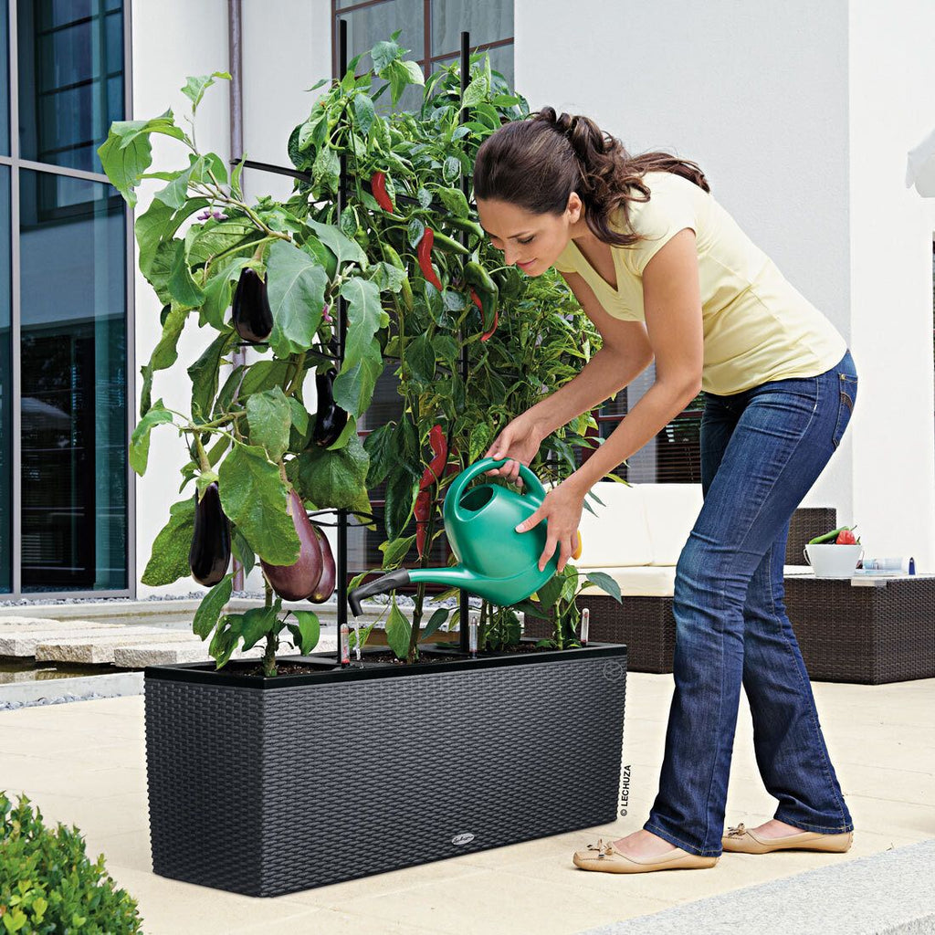 Plantekasse Trio 100x32x34 cm polyrotting granitt med naturlig bakgrunn